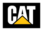 Caterpillar